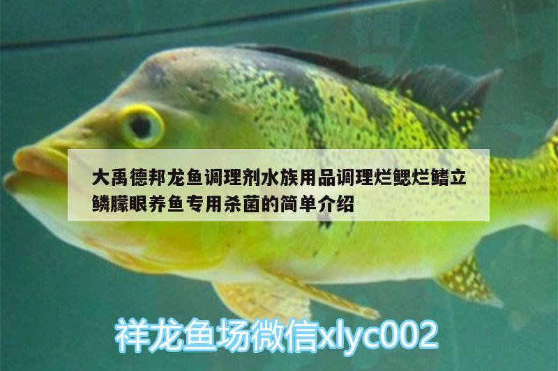 大禹德邦龍魚調(diào)理劑水族用品調(diào)理爛鰓爛鰭立鱗朦眼養(yǎng)魚專用殺菌的簡單介紹