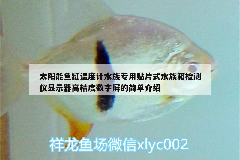 太陽(yáng)能魚(yú)缸溫度計(jì)水族專用貼片式水族箱檢測(cè)儀顯示器高精度數(shù)字屏的簡(jiǎn)單介紹