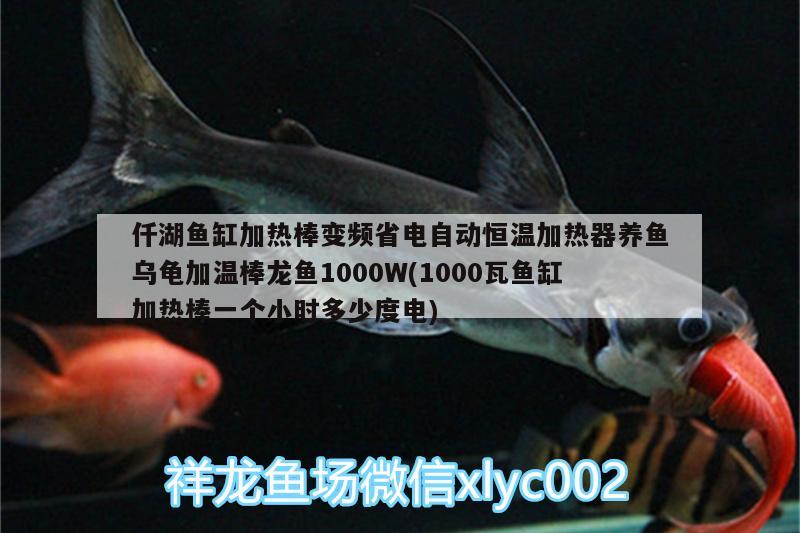 仟湖魚缸加熱棒變頻省電自動恒溫加熱器養(yǎng)魚烏龜加溫棒龍魚1000W(1000瓦魚缸加熱棒一個(gè)小時(shí)多少度電) 烏龜