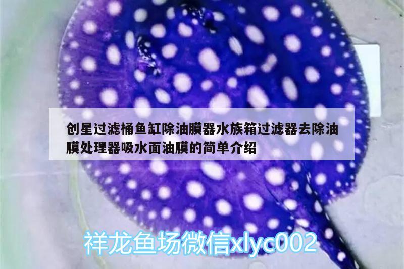 創(chuàng)星過濾桶魚缸除油膜器水族箱過濾器去除油膜處理器吸水面油膜的簡(jiǎn)單介紹 魚缸/水族箱