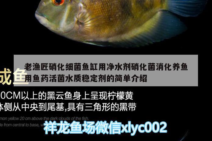 老漁匠硝化細菌魚缸用凈水劑硝化菌消化養(yǎng)魚用魚藥活菌水質(zhì)穩(wěn)定劑的簡單介紹