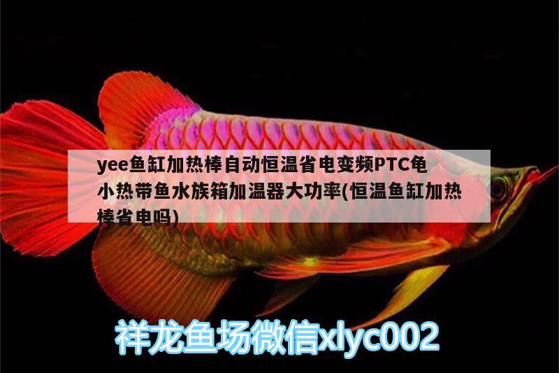 yee魚缸加熱棒自動(dòng)恒溫省電變頻PTC龜小熱帶魚水族箱加溫器大功率(恒溫魚缸加熱棒省電嗎)