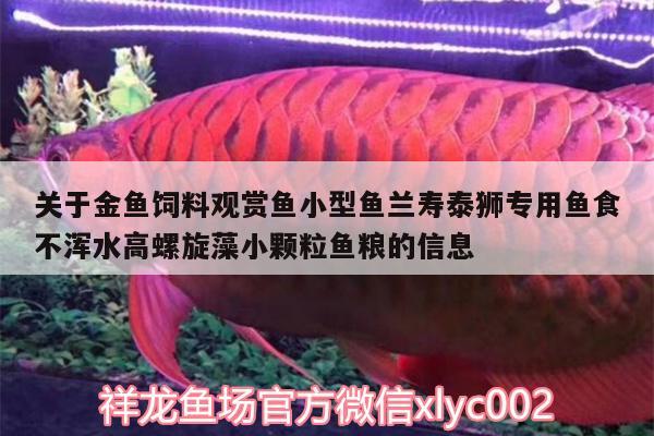 關于金魚飼料觀賞魚小型魚蘭壽泰獅專用魚食不渾水高螺旋藻小顆粒魚糧的信息 廣州水族器材濾材批發(fā)市場