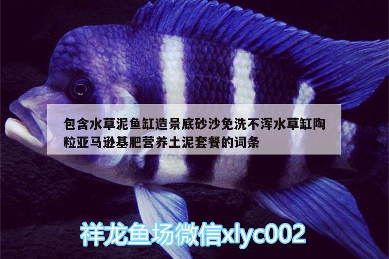 包含水草泥魚缸造景底砂沙免洗不渾水草缸陶粒亞馬遜基肥營(yíng)養(yǎng)土泥套餐的詞條 水草