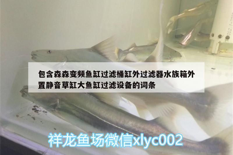 包含森森變頻魚缸過濾桶缸外過濾器水族箱外置靜音草缸大魚缸過濾設(shè)備的詞條