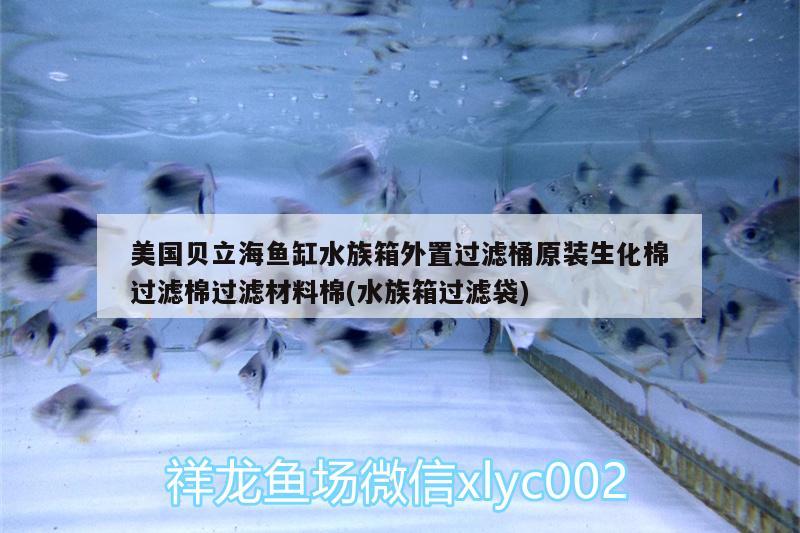 美國貝立海魚缸水族箱外置過濾桶原裝生化棉過濾棉過濾材料棉(水族箱過濾袋) 魚缸/水族箱