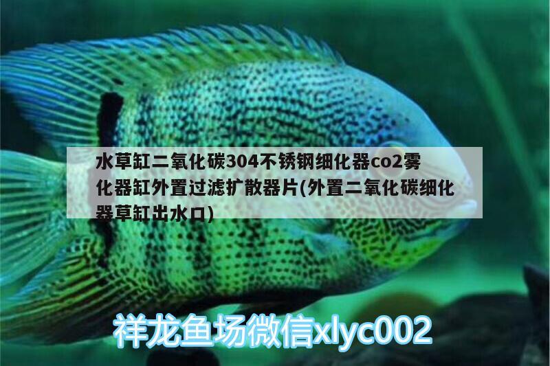 水草缸二氧化碳304不銹鋼細化器co2霧化器缸外置過濾擴散器片(外置二氧化碳細化器草缸出水口) 二氧化碳設備