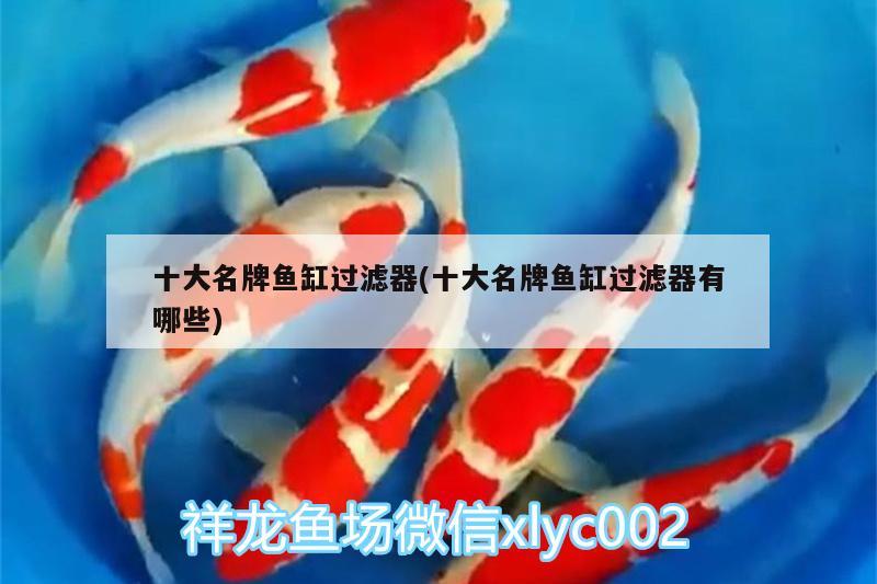 十大名牌魚缸過(guò)濾器(十大名牌魚缸過(guò)濾器有哪些) 細(xì)線銀版魚