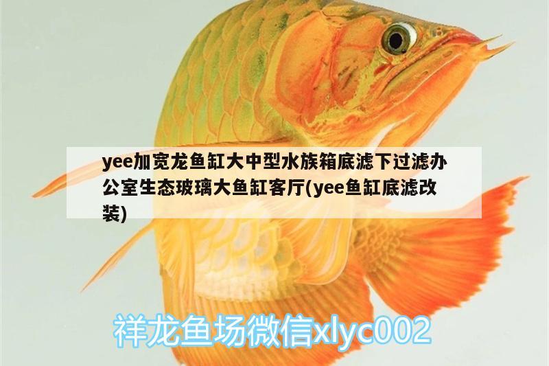 yee加寬龍魚缸大中型水族箱底濾下過(guò)濾辦公室生態(tài)玻璃大魚缸客廳(yee魚缸底濾改裝) yee