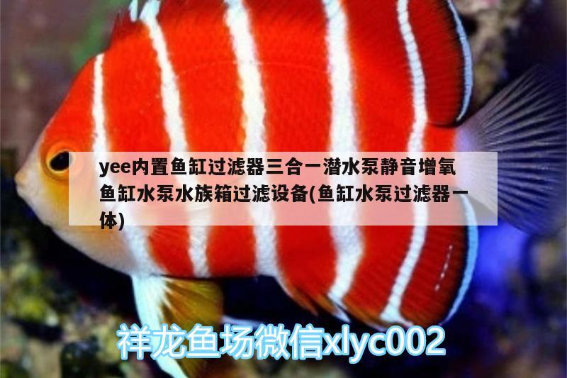 yee內(nèi)置魚(yú)缸過(guò)濾器三合一潛水泵靜音增氧魚(yú)缸水泵水族箱過(guò)濾設(shè)備(魚(yú)缸水泵過(guò)濾器一體) yee