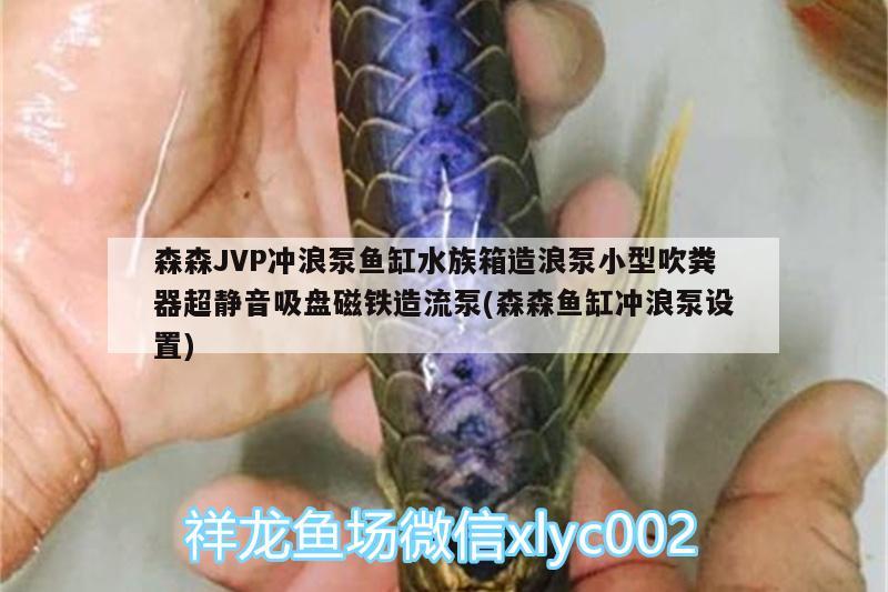 森森JVP沖浪泵魚缸水族箱造浪泵小型吹糞器超靜音吸盤磁鐵造流泵(森森魚缸沖浪泵設(shè)置) 魚缸/水族箱