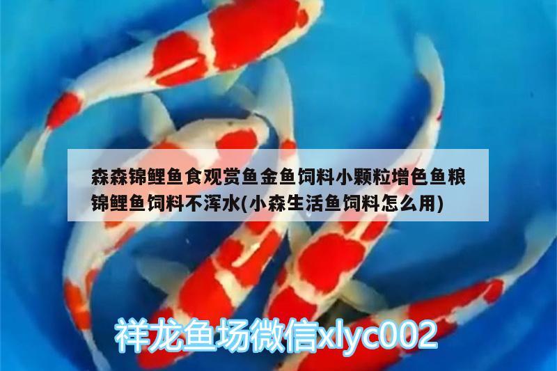 森森錦鯉魚食觀賞魚金魚飼料小顆粒增色魚糧錦鯉魚飼料不渾水(小森生活魚飼料怎么用)