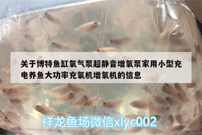 關(guān)于博特魚缸氧氣泵超靜音增氧泵家用小型充電養(yǎng)魚大功率充氧機增氧機的信息 博特水族