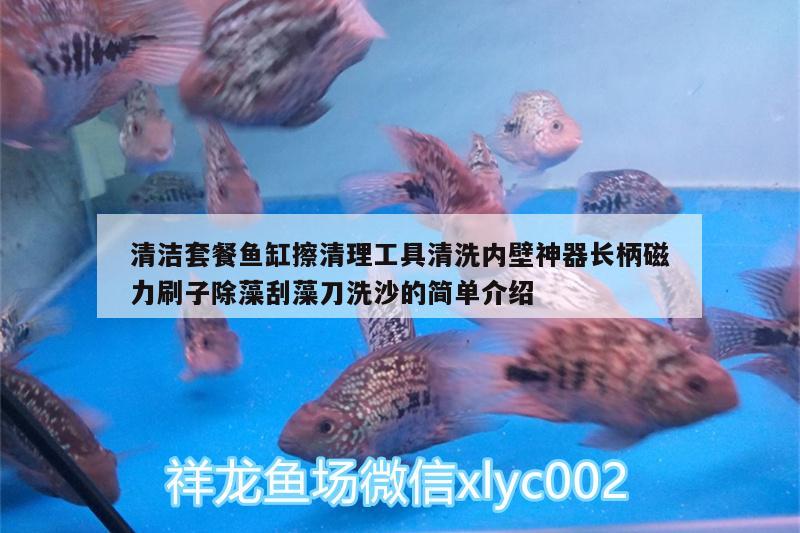 清潔套餐魚缸擦清理工具清洗內壁神器長柄磁力刷子除藻刮藻刀洗沙的簡單介紹