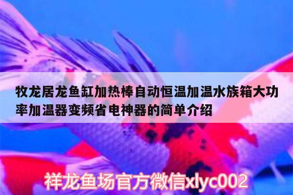 牧龍居龍魚缸加熱棒自動(dòng)恒溫加溫水族箱大功率加溫器變頻省電神器的簡單介紹 魚缸/水族箱