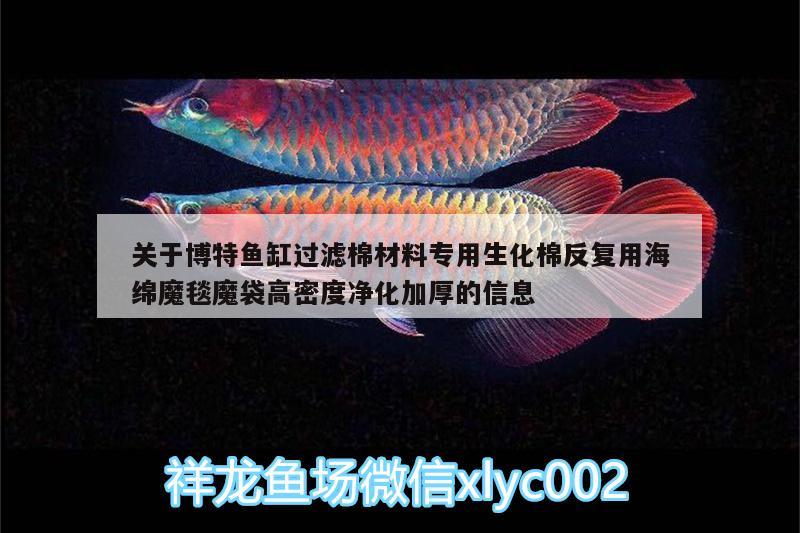 關(guān)于博特魚缸過濾棉材料專用生化棉反復(fù)用海綿魔毯魔袋高密度凈化加厚的信息 博特水族