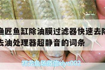 包含老漁匠魚缸除油膜過濾器快速去除表面水質(zhì)雜質(zhì)去油處理器超靜音的詞條 廣州水族器材濾材批發(fā)市場