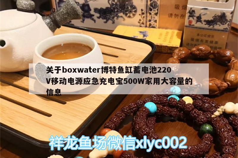 關于boxwater博特魚缸蓄電池220V移動電源應急充電寶500W家用大容量的信息