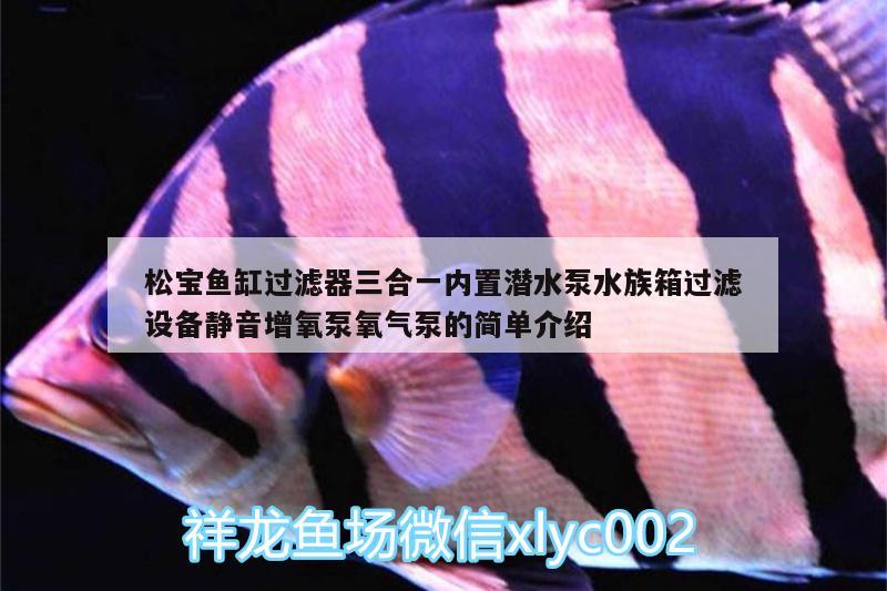 松寶魚缸過濾器三合一內(nèi)置潛水泵水族箱過濾設(shè)備靜音增氧泵氧氣泵的簡單介紹 魚缸/水族箱