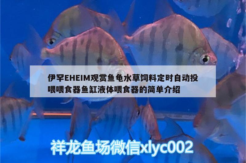 伊罕EHEIM觀賞魚龜水草飼料定時(shí)自動(dòng)投喂喂食器魚缸液體喂食器的簡單介紹 烏龜