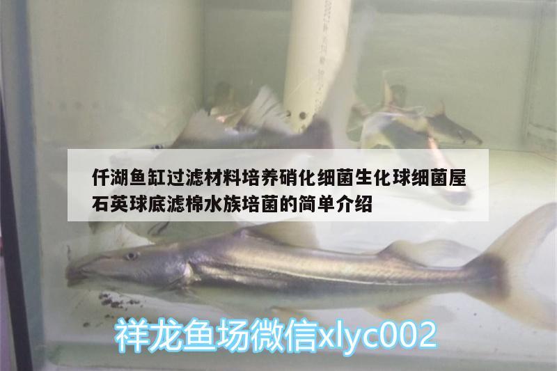 仟湖魚(yú)缸過(guò)濾材料培養(yǎng)硝化細(xì)菌生化球細(xì)菌屋石英球底濾棉水族培菌的簡(jiǎn)單介紹 仟湖