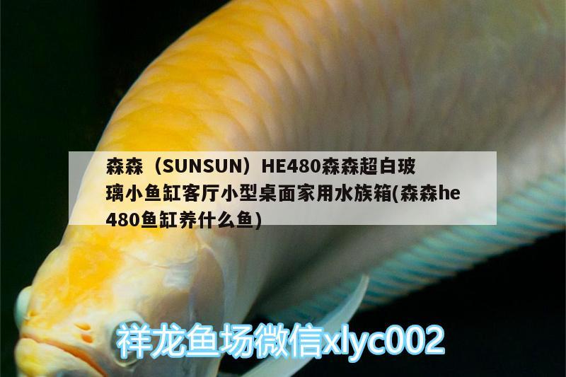 森森（SUNSUN）HE480森森超白玻璃小魚缸客廳小型桌面家用水族箱(森森h(huán)e480魚缸養(yǎng)什么魚) 魚缸/水族箱