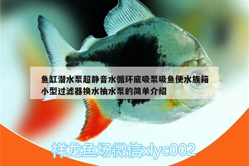 魚缸潛水泵超靜音水循環(huán)底吸泵吸魚便水族箱小型過濾器換水抽水泵的簡單介紹