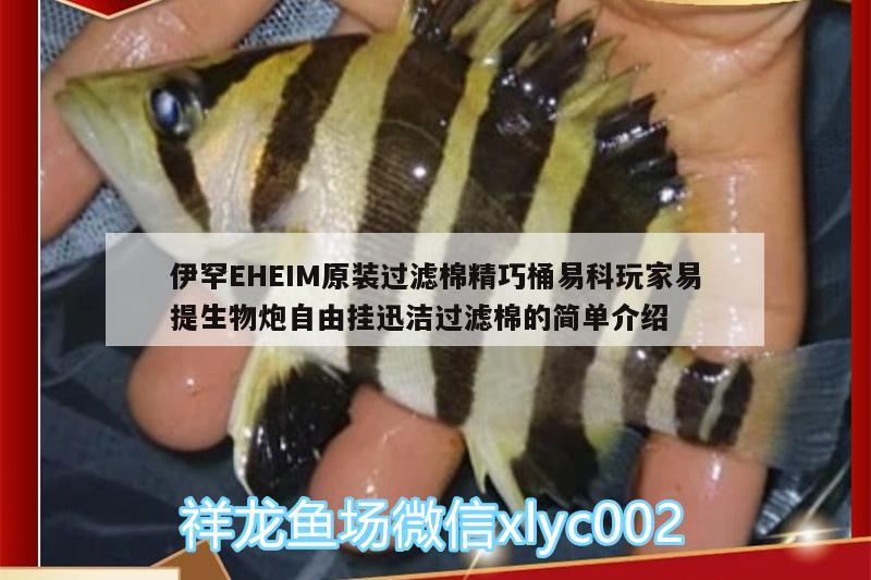 伊罕EHEIM原裝過濾棉精巧桶易科玩家易提生物炮自由掛迅潔過濾棉的簡單介紹