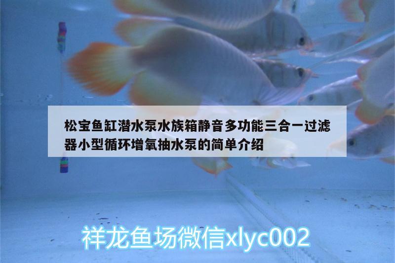 松寶魚缸潛水泵水族箱靜音多功能三合一過(guò)濾器小型循環(huán)增氧抽水泵的簡(jiǎn)單介紹 魚缸/水族箱