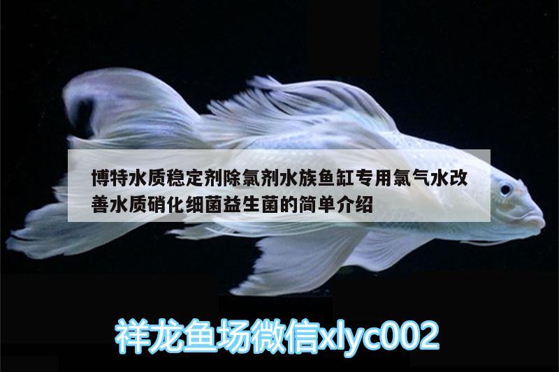 博特水質(zhì)穩(wěn)定劑除氯劑水族魚(yú)缸專用氯氣水改善水質(zhì)硝化細(xì)菌益生菌的簡(jiǎn)單介紹 博特水族