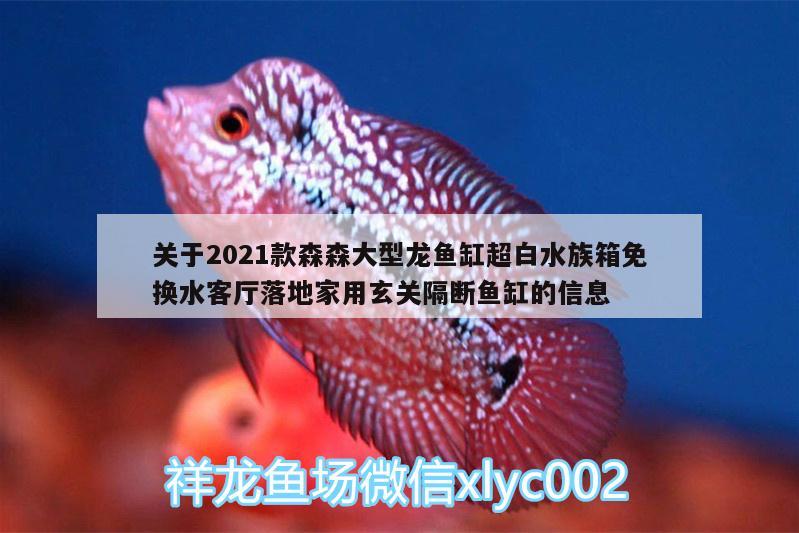 關(guān)于2021款森森大型龍魚缸超白水族箱免換水客廳落地家用玄關(guān)隔斷魚缸的信息