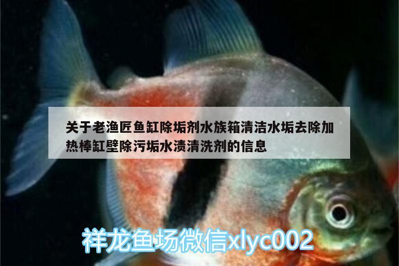 關(guān)于老漁匠魚缸除垢劑水族箱清潔水垢去除加熱棒缸壁除污垢水漬清洗劑的信息 魚缸/水族箱