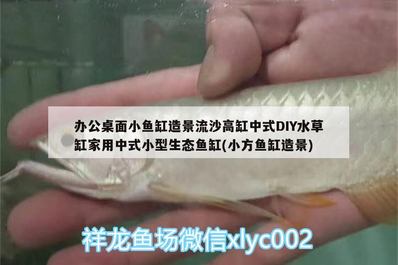 辦公桌面小魚缸造景流沙高缸中式DIY水草缸家用中式小型生態(tài)魚缸(小方魚缸造景)