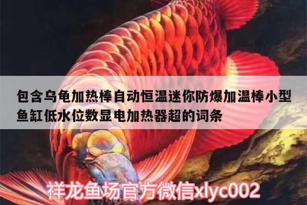 包含烏龜加熱棒自動(dòng)恒溫迷你防爆加溫棒小型魚缸低水位數(shù)顯電加熱器超的詞條