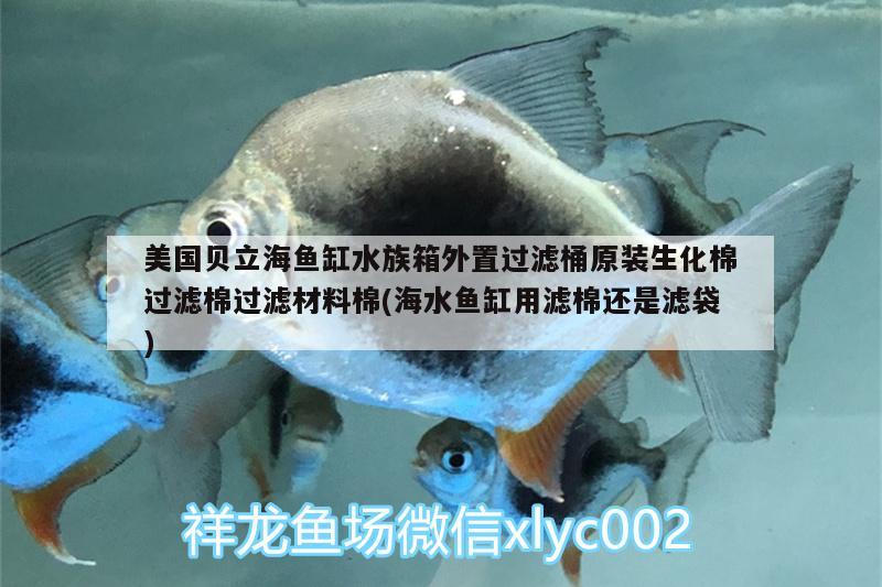 美國貝立海魚缸水族箱外置過濾桶原裝生化棉過濾棉過濾材料棉(海水魚缸用濾棉還是濾袋) 海水魚 第1張