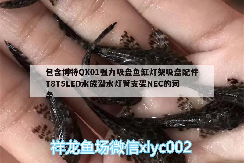 包含博特QX01強力吸盤魚缸燈架吸盤配件T8T5LED水族潛水燈管支架NEC的詞條