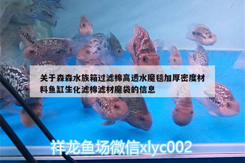 關(guān)于森森水族箱過(guò)濾棉高透水魔毯加厚密度材料魚(yú)缸生化濾棉濾材魔袋的信息