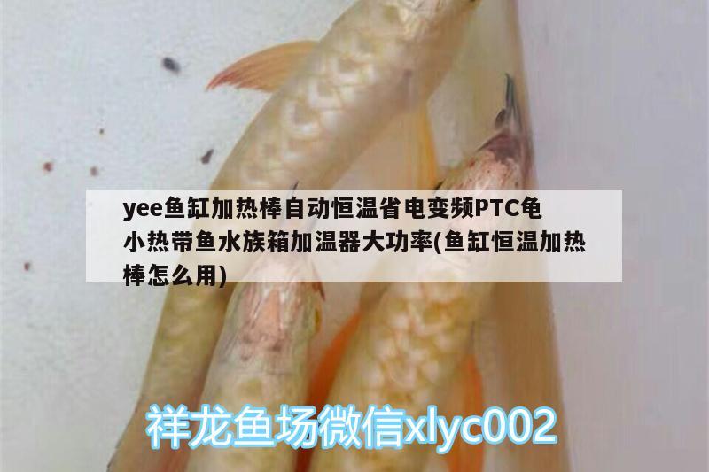 yee魚缸加熱棒自動恒溫省電變頻PTC龜小熱帶魚水族箱加溫器大功率(魚缸恒溫加熱棒怎么用) 烏龜