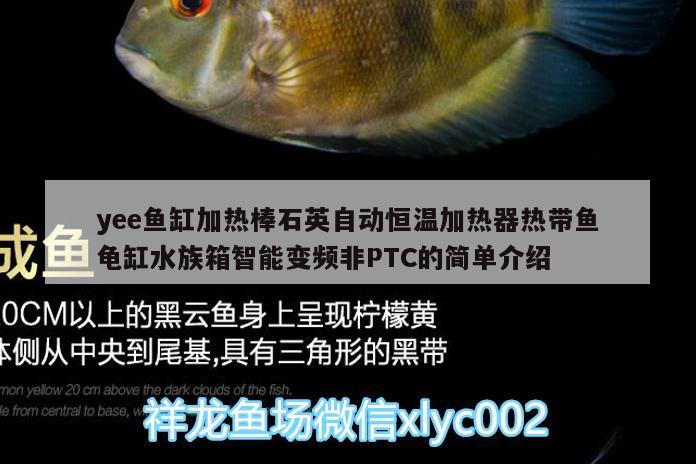 yee魚缸加熱棒石英自動恒溫加熱器熱帶魚龜缸水族箱智能變頻非PTC的簡單介紹 烏龜