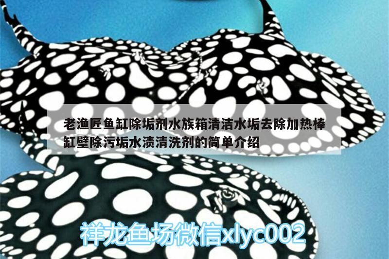 老漁匠魚缸除垢劑水族箱清潔水垢去除加熱棒缸壁除污垢水漬清洗劑的簡單介紹 魚缸/水族箱