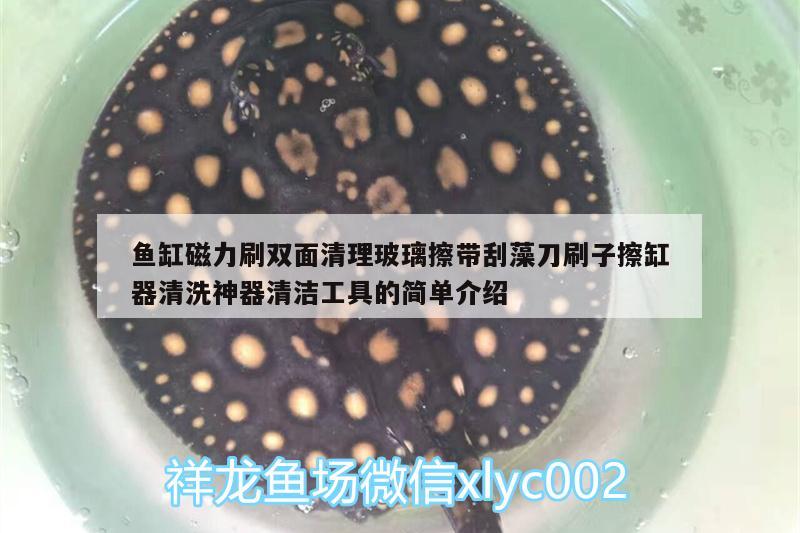 魚缸磁力刷雙面清理玻璃擦帶刮藻刀刷子擦缸器清洗神器清潔工具的簡單介紹