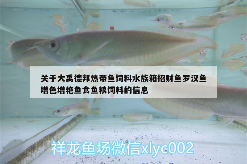 關(guān)于大禹德邦熱帶魚飼料水族箱招財魚羅漢魚增色增艷魚食魚糧飼料的信息 羅漢魚