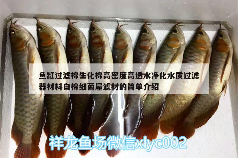 魚(yú)缸過(guò)濾棉生化棉高密度高透水凈化水質(zhì)過(guò)濾器材料白棉細(xì)菌屋濾材的簡(jiǎn)單介紹