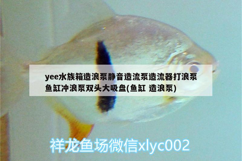 yee水族箱造浪泵靜音造流泵造流器打浪泵魚缸沖浪泵雙頭大吸盤(魚缸造浪泵) yee