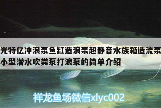 光特億沖浪泵魚缸造浪泵超靜音水族箱造流泵小型潛水吹糞泵打浪泵的簡單介紹