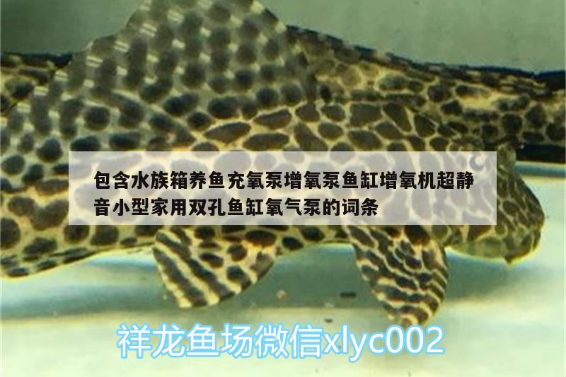 包含水族箱養(yǎng)魚充氧泵增氧泵魚缸增氧機超靜音小型家用雙孔魚缸氧氣泵的詞條 魚缸/水族箱