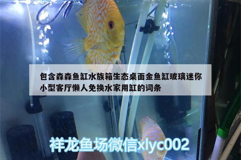 包含森森魚缸水族箱生態(tài)桌面金魚缸玻璃迷你小型客廳懶人免換水家用缸的詞條 魚缸/水族箱