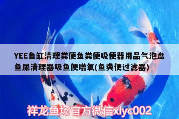 YEE魚缸清理糞便魚糞便吸便器用品氣泡盤魚屎清理器吸魚便增氧(魚糞便過濾器)