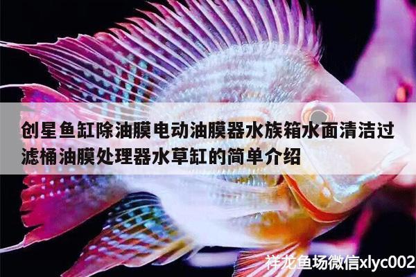 創(chuàng)星魚缸除油膜電動油膜器水族箱水面清潔過濾桶油膜處理器水草缸的簡單介紹 魚缸/水族箱