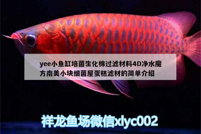 yee小魚缸培菌生化棉過濾材料4D凈水魔方南美小塊細(xì)菌屋蛋糕濾材的簡單介紹